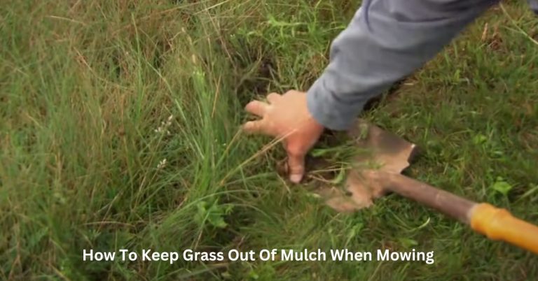 How To Keep Grass Out Of Mulch When Mowing?