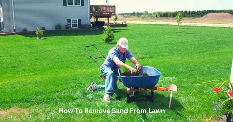 How To Remove Sand From Lawn?