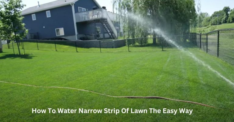 How To Water Narrow Strip Of Lawn The Easy Way?